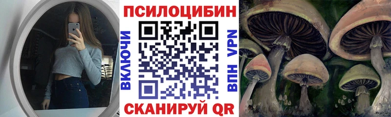 Псилоцибиновые грибы Psilocybe  купить наркоту  Нариманов 